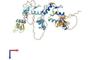 AlphaFold protein structure predicition of Human Recombinant ZNF766 Protein, UniprotID Q5HY98