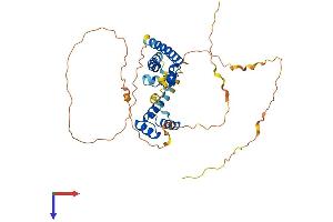 AlphaFold protein structure predicition of Human Recombinant POU5F1 Protein, UniprotID Q01860