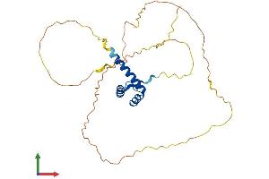 AlphaFold protein structure predicition of Human Recombinant OTX2 Protein, UniprotID P32243