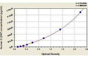 Typical Standard Curve (Claudin 7 Kit ELISA)
