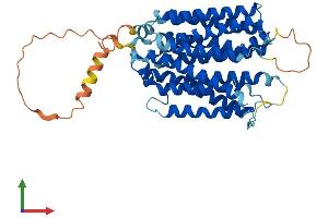 AlphaFold protein structure predicition of Mouse Recombinant Slc29a2 Protein, UniprotID Q61672