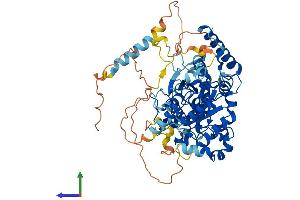 AlphaFold protein structure predicition of Mouse Recombinant Gnl1 Protein, UniprotID P36916