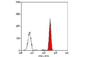 Staining of human peripheral blood granulocytes with Mouse anti Human CD88-FITC