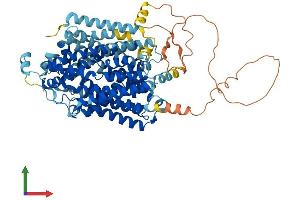 AlphaFold protein structure predicition of Mouse Recombinant Slc5a3 Protein, UniprotID Q9JKZ2
