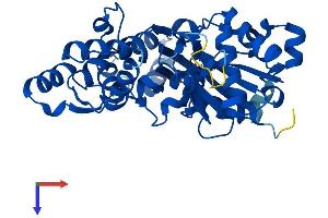 AlphaFold protein structure predicition of Mouse Recombinant Actb Protein, UniprotID P60710