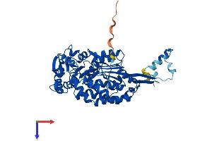 AlphaFold protein structure predicition of Mouse Recombinant Aldh3b3 Protein, UniprotID J3QMK6