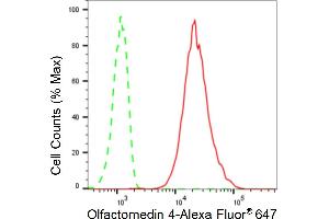 anti-Olfactomedin 4 (OLFM4) antibody