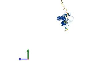 AlphaFold protein structure predicition of Human Recombinant ATP6V1D Protein, UniprotID Q9Y5K8