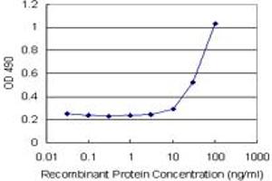Sandwich ELISA detection sensitivity ranging from 10 ng/mL to 100 ng/mL. (HMGB2 (Humain) Matched Antibody Pair)