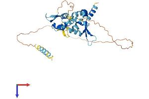 AlphaFold protein structure predicition of Human Recombinant MAGEB2 Protein, UniprotID O15479