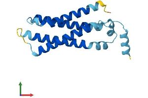 AlphaFold protein structure predicition of Mouse Recombinant Tmem138 Protein, UniprotID Q9D6G5