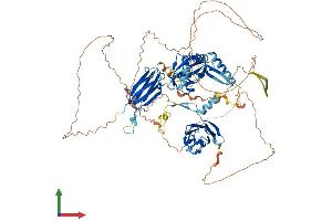 AlphaFold protein structure predicition of Human Recombinant DNAAF2 Protein, UniprotID Q9NVR5