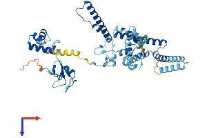AlphaFold protein structure predicition of Human Recombinant TADA2A Protein, UniprotID O75478