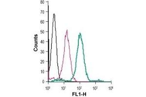 Cell surface detection of Zinc transporter ZIP8 in live intact human THP-1 monocytic leukemia cells: (black line) Cells.