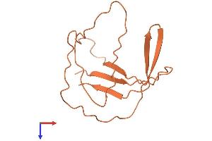AlphaFold protein structure predicition of Human Recombinant MIR7-3HG Protein, UniprotID Q8N6C7