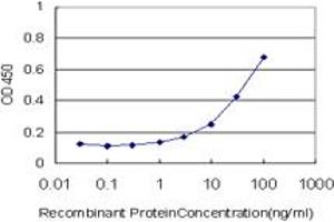 anti-Mesenchyme Homeobox 1 (MEOX1) (AA 165-252) antibody