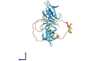 AlphaFold protein structure predicition of Mouse Recombinant Crkl Protein, UniprotID P47941