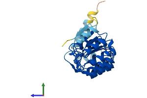 AlphaFold protein structure predicition of Human Recombinant AMN1 Protein, UniprotID Q8IY45