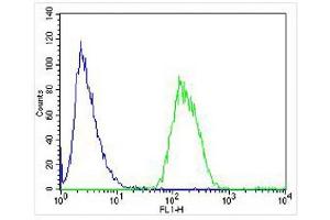 Overlay histogram showing SH-SY5Y cells stained with (ABIN6243251 and ABIN6577964) (green line).