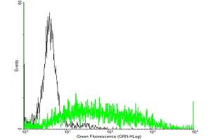 FACS analysis of negative control 293 cells (Black) and C3AR1 expressing 293 cells (Green) using C3AR1 purified MaxPab mouse polyclonal antibody.