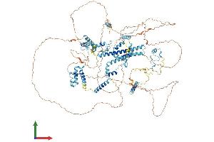 AlphaFold protein structure predicition of Human Recombinant SUGP2 Protein, UniprotID Q8IX01