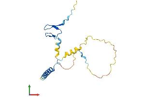 AlphaFold protein structure predicition of Human Recombinant C16orf87 Protein, UniprotID Q6PH81