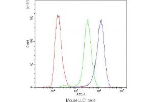Flow cytometry testing of mouse LLC1 cells with SYT1 antibody at 1ug/10^6 cells (blocked with goat sera) (SYT1 anticorps)