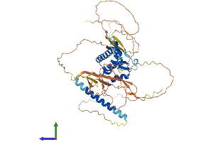 AlphaFold protein structure predicition of Human Recombinant BANP Protein, UniprotID Q8N9N5