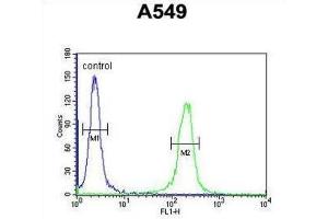 Flow Cytometry (FACS) image for anti-Intraflagellar Transport 43 Homolog (IFT43) antibody (ABIN3002323) (IFT43 anticorps)