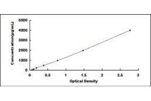 Toll-Like Receptor Adaptor Molecule 1 (TICAM1) ELISA Kit