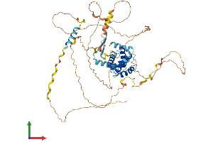 AlphaFold protein structure predicition of Mouse Recombinant Cables1 Protein, UniprotID Q9ESJ1