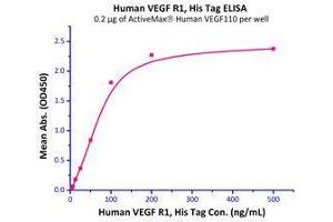 Immobilized  Human VEGF110 (Cat# VE0-H5212) at 2 μg/mL (100 μL/well) can bind Human VEGF R1 Protein, His Tag (Cat# VE1-H5220) with a linear range of 3-100 ng/mL. (VEGF110 (AA 27-136) (Active) Protéine)