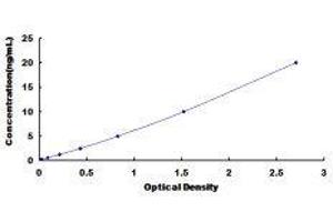 Dynein Heavy Chain Domain 1 (DNHD1) ELISA Kit