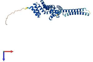 AlphaFold protein structure predicition of Human Recombinant STUB1 Protein, UniprotID Q9UNE7