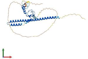 AlphaFold protein structure predicition of Mouse Recombinant Trim44 Protein, UniprotID Q9QXA7
