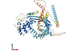 AlphaFold protein structure predicition of Human Recombinant ANKRD13A Protein, UniprotID Q8IZ07