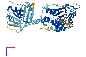 AlphaFold protein structure predicition of Human Recombinant IFI44L Protein, UniprotID Q53G44