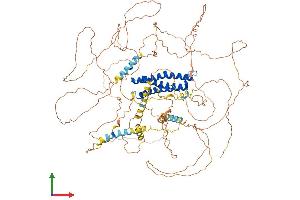 AlphaFold protein structure predicition of Human Recombinant DLGAP1 Protein, UniprotID O14490