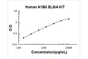 alpha-1-B Glycoprotein (A1BG) ELISA Kit