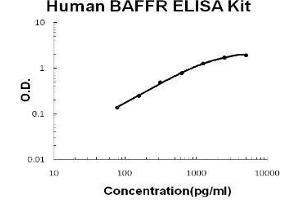Human TNFRSF13C/BAFFR PicoKine ELISA Kit standard curve (TNFRSF13C Kit ELISA)