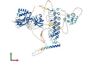 AlphaFold protein structure predicition of Mouse Recombinant Nfkb1 Protein, UniprotID P25799
