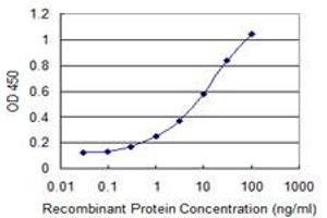 Detection limit for recombinant GST tagged MYL6B is 0.