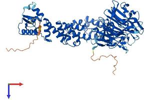 AlphaFold protein structure predicition of Mouse Recombinant Klhl9 Protein, UniprotID Q6ZPT1