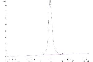 The purity of Human TSLP (R127A, R130A) is greater than 95 % as determined by SEC-HPLC.