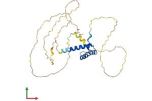 AlphaFold protein structure predicition of Human Recombinant HOXC11 Protein, UniprotID O43248