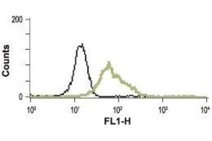 Cell surface detection of BRS3 in live intact human promyelocytic leukemia HL-60 cells: (black line) Unstained cells + goat-anti-rabbit-FITC.