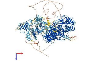 AlphaFold protein structure predicition of Human Recombinant DNMT1 Protein, UniprotID P26358