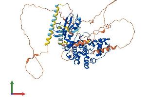 AlphaFold protein structure predicition of Mouse Recombinant Srpk1 Protein, UniprotID O70551