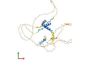AlphaFold protein structure predicition of Mouse Recombinant Alx4 Protein, UniprotID O35137