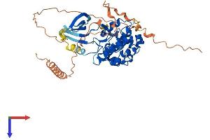AlphaFold protein structure predicition of Mouse Recombinant Cdk14 Protein, UniprotID O35495